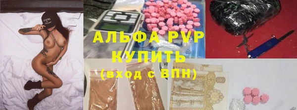 молекула духа Арсеньев