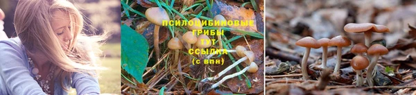 амфетамин Аркадак