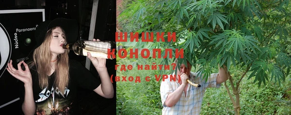 молекула духа Арсеньев